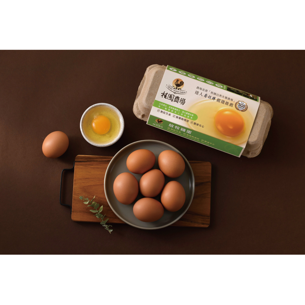 【桂園嚴選 放牧雞蛋 4盒免運組】自由快樂的雞 生出品質更好的蛋