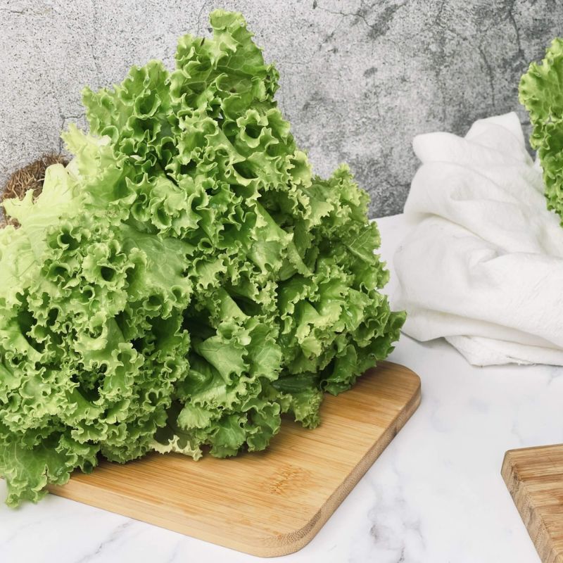 【綠十商行】綠皺葉萵苣400g