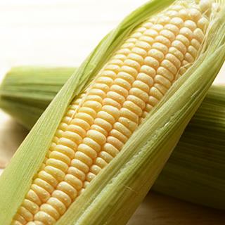 雲林黃金甜玉米5台斤-產地出貨~夏季蔬果節