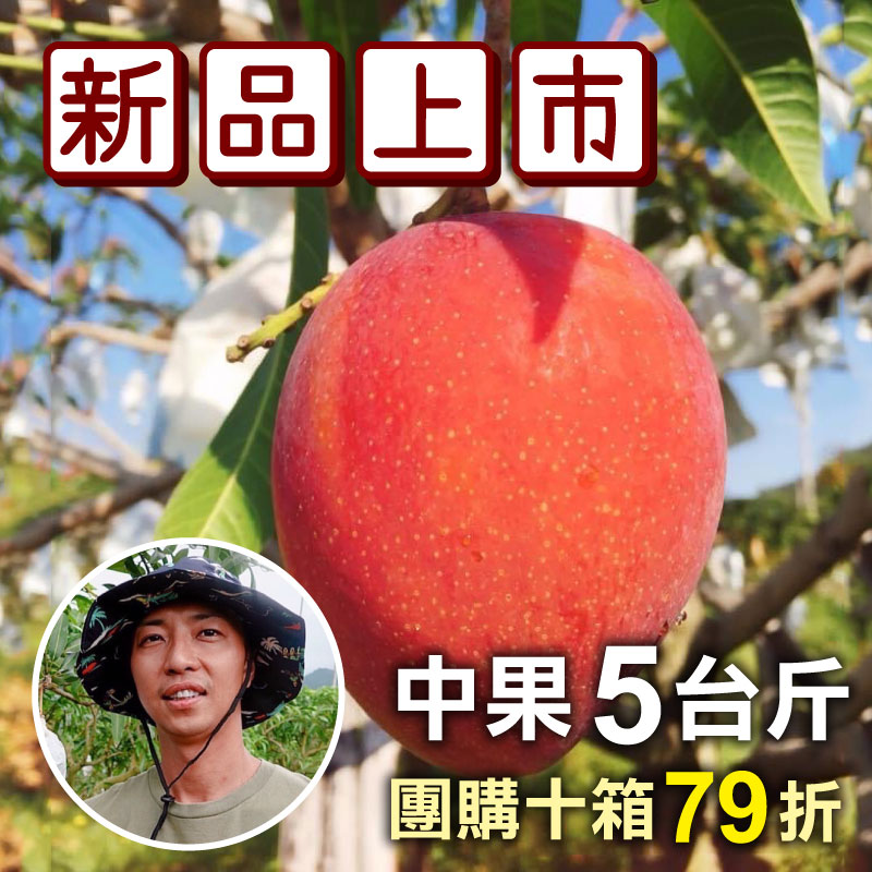 良家愛文芒果(中果)(5台斤)(團購十箱)_芒果農產嘉年華