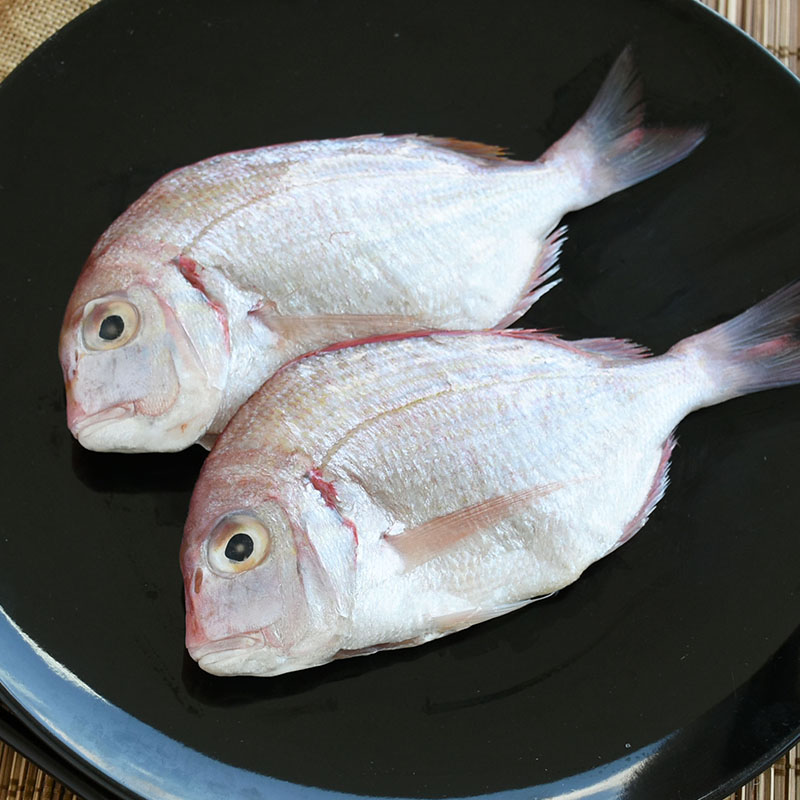 澎湖珍鮮紅盤仔魚(250~300g；2入/包).