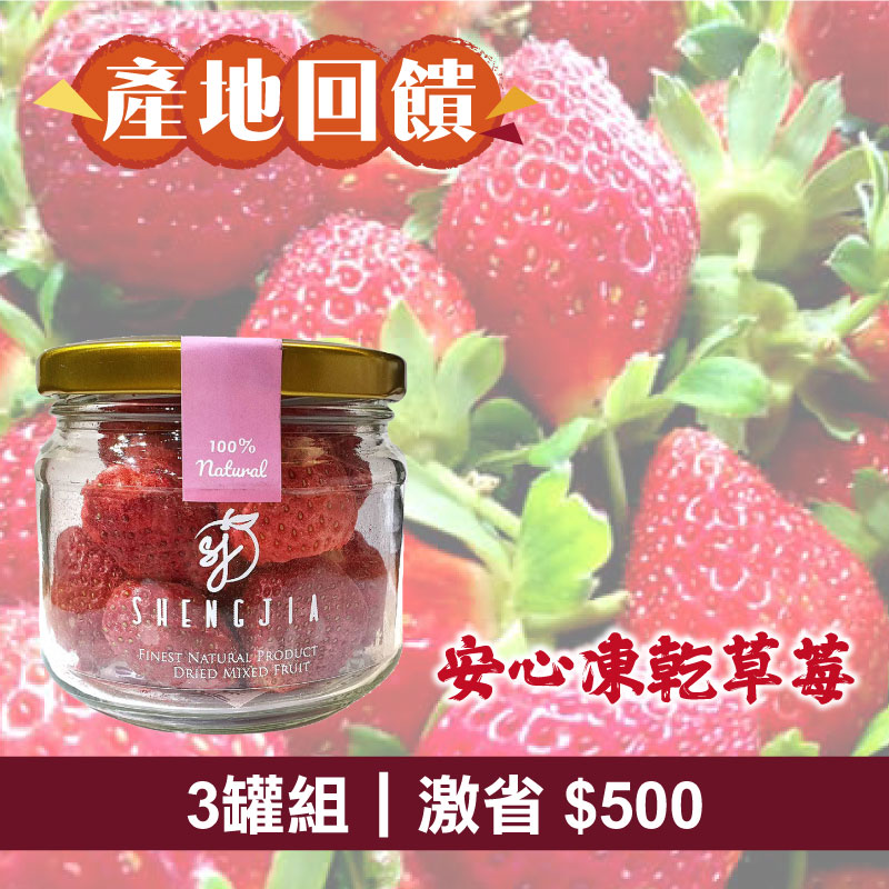 (3瓶組)【勝嘉商店】安心凍乾草莓16g/瓶