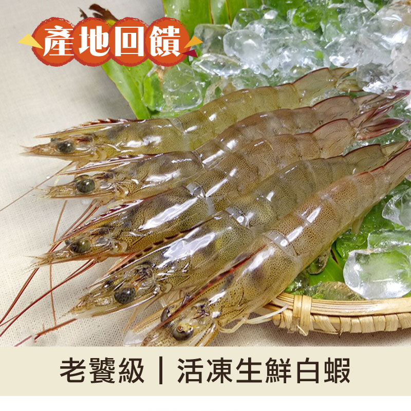 (4包免運)【蝦覓世界】活凍生鮮白蝦(老饕級)300g/包-嘉義優鮮