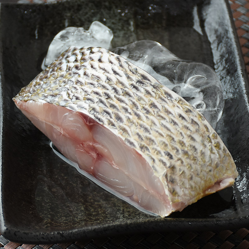 【魚寶貝】澎湖野生青嘴龍占輪切200g