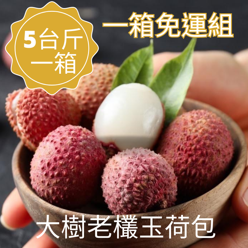 【鮮果公賣局】嚴選大樹老欉玉荷包禮盒(5斤裝)