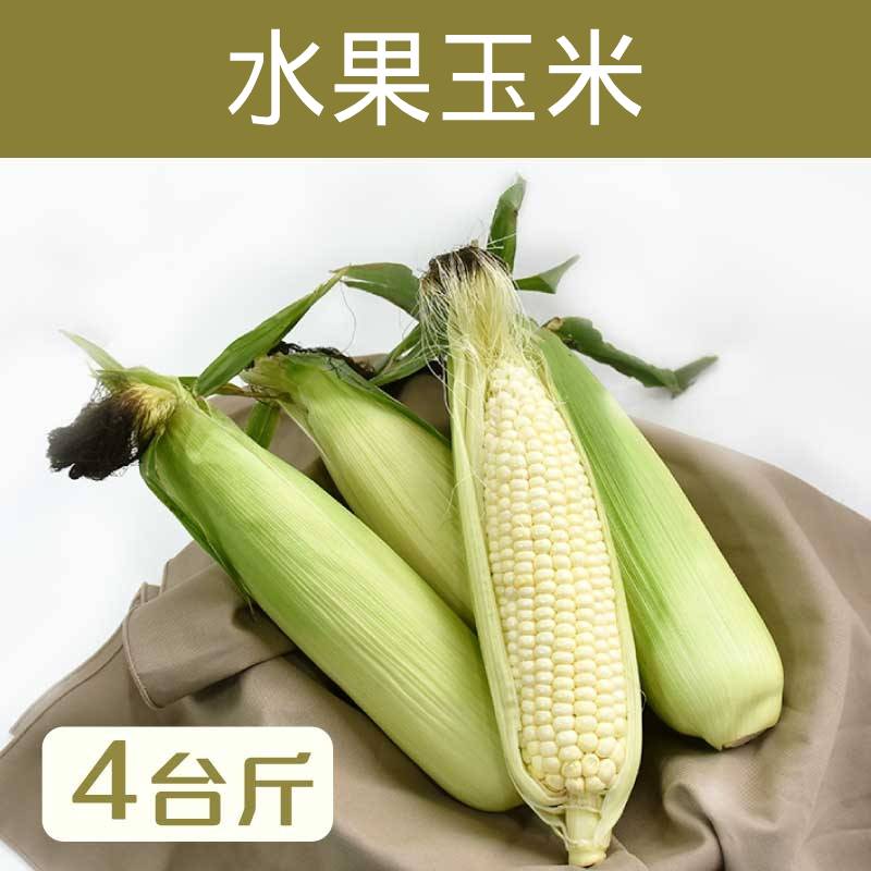 【喜樂拉拉山】白龍王水果玉米4台斤