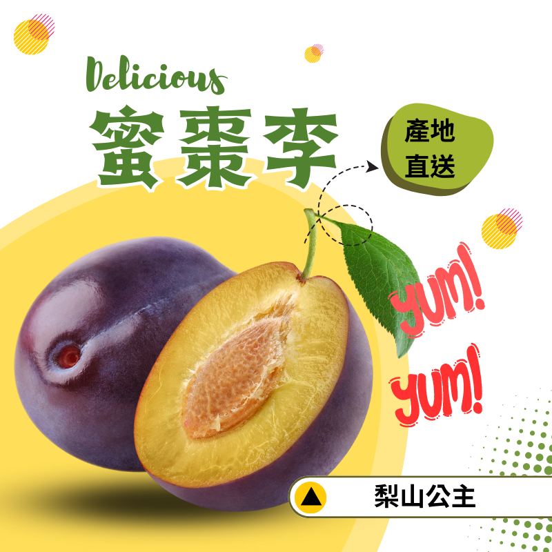 梨山公主 蜜棗李 特大果5斤