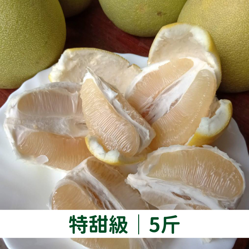 品柚 斗六文旦特甜級5斤