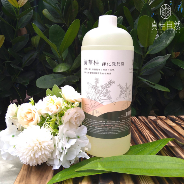 (單罐含運組)【KSGREEN】清華桂淨化洗髮露 環保補充瓶(2000ml/瓶)