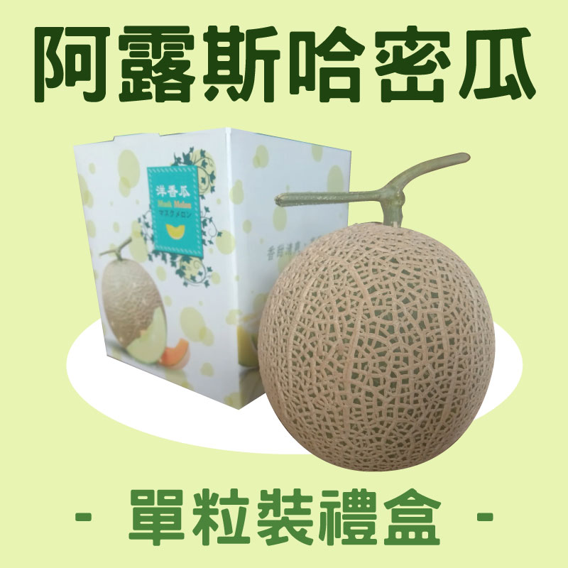 【旋轉木馬蔬果農場】日本阿露斯哈密瓜單粒裝禮盒(單粒2.5斤)