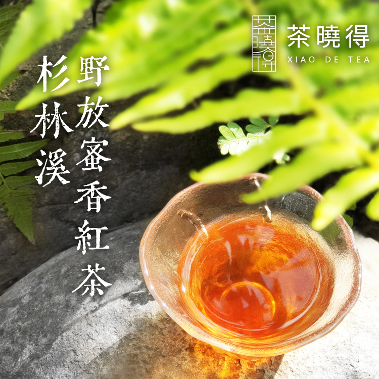 (2包含運組)杉林溪野放蜜香紅茶(150gx2包)