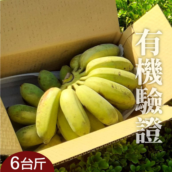 【1頂1農園】高雄田寮有機芭蕉6台斤