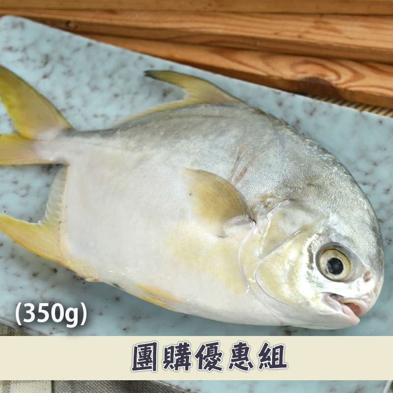 (10尾組)【飼好漁】豐味海飼黃金鯧(350g/尾)