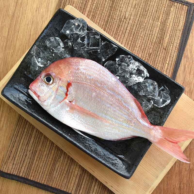 【澎湖珍鮮】澎湖野生紅盤魚(150g~200g/包；單尾裝)