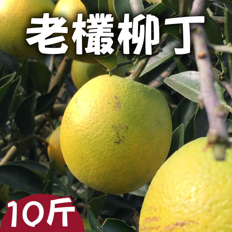 This味鳳梨販賣部 老欉柳丁10斤