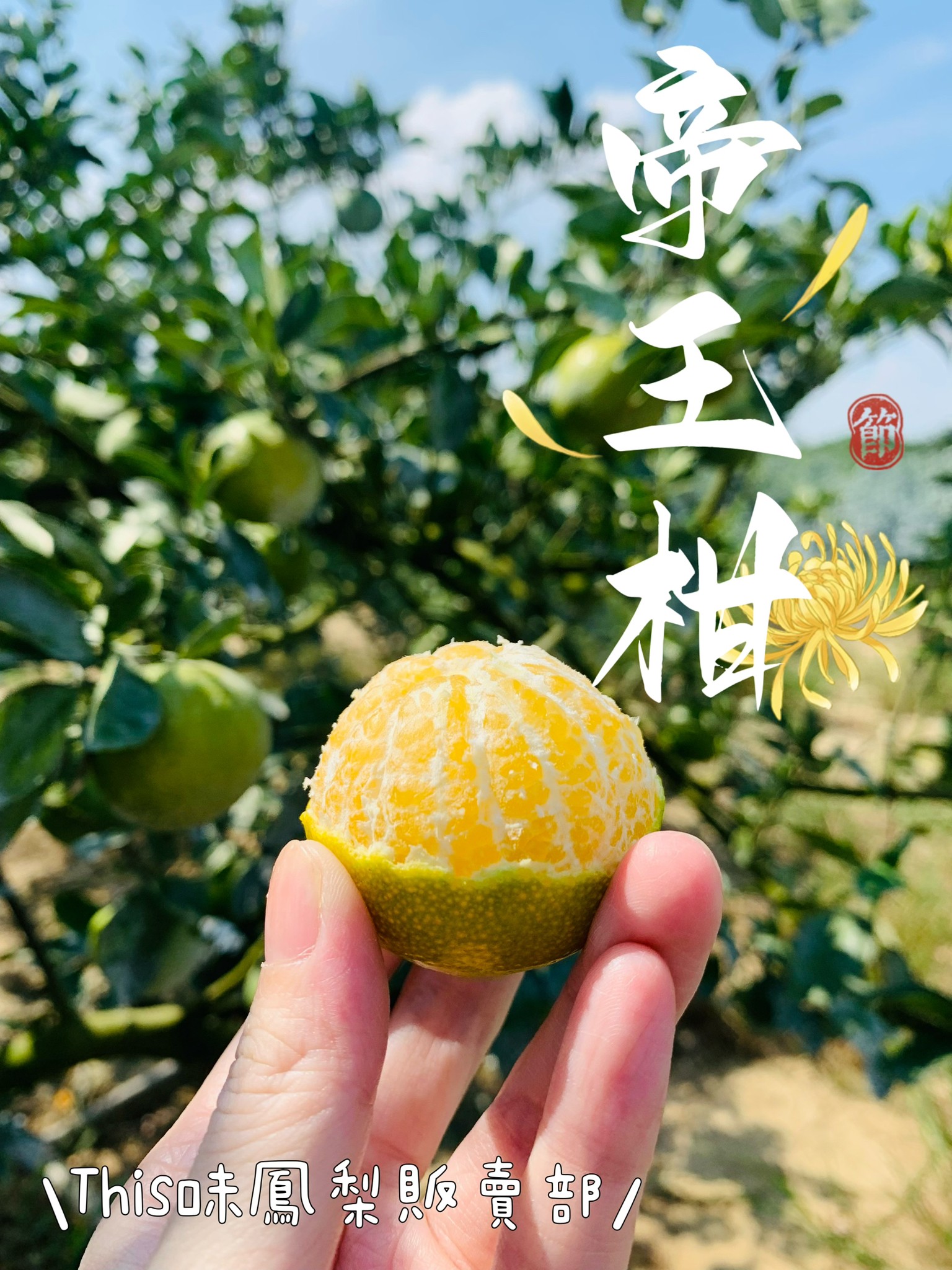 This味鳳梨販賣部 帝王柑10斤