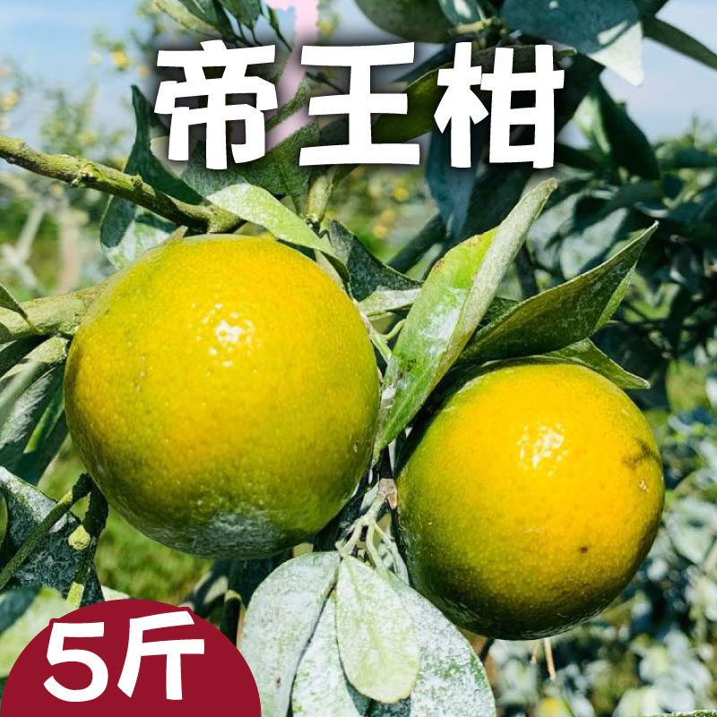 This味鳳梨販賣部 帝王柑5斤