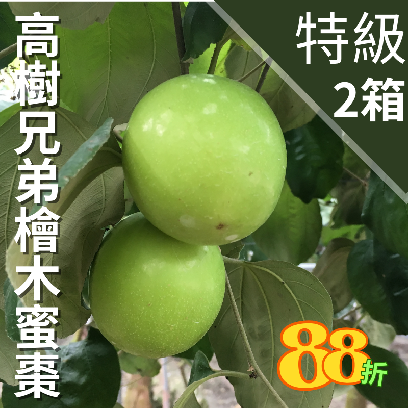 【大團購】高樹兄弟檜木蜜棗(特級)(12顆裝)買一送一(共2箱) 88折-甜柑蜜