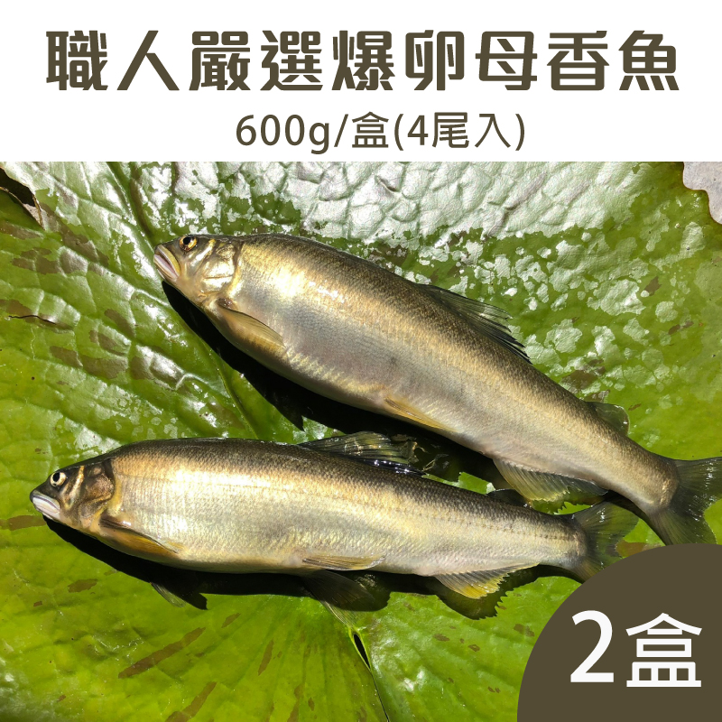 (2盒組)【柯林漁廠】職人嚴選爆卵母香魚600g/盒(4尾入)