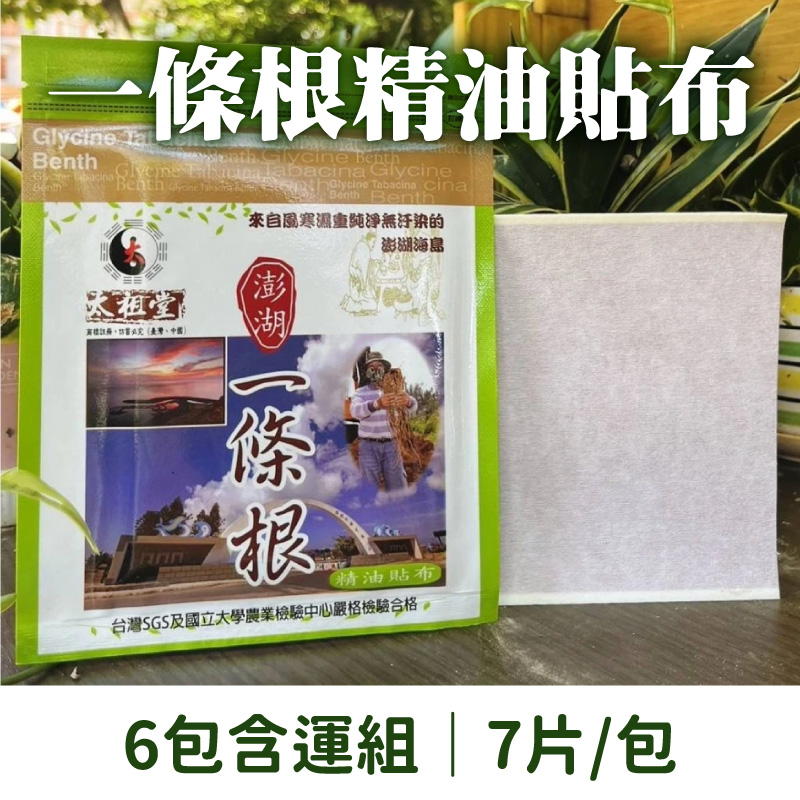 (6包含運組)【太祖堂】一條根精油貼布  (7片/包)