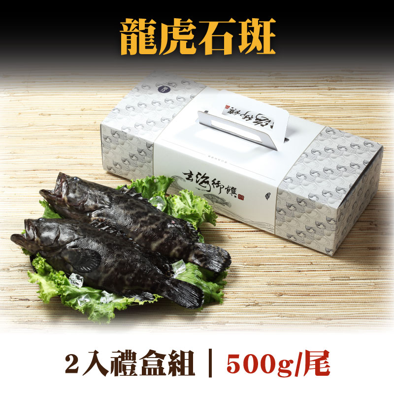 (2入組)【全國漁會】龍虎石斑禮盒500g/尾