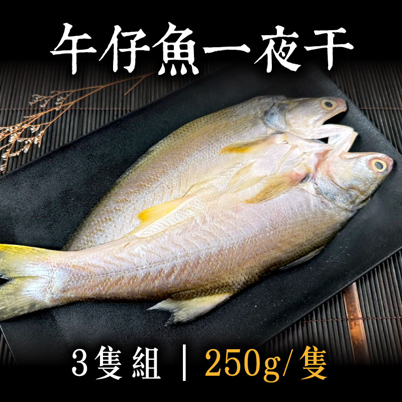 (3隻組)【海軒水產】午仔魚一夜干250g/包~海鮮季