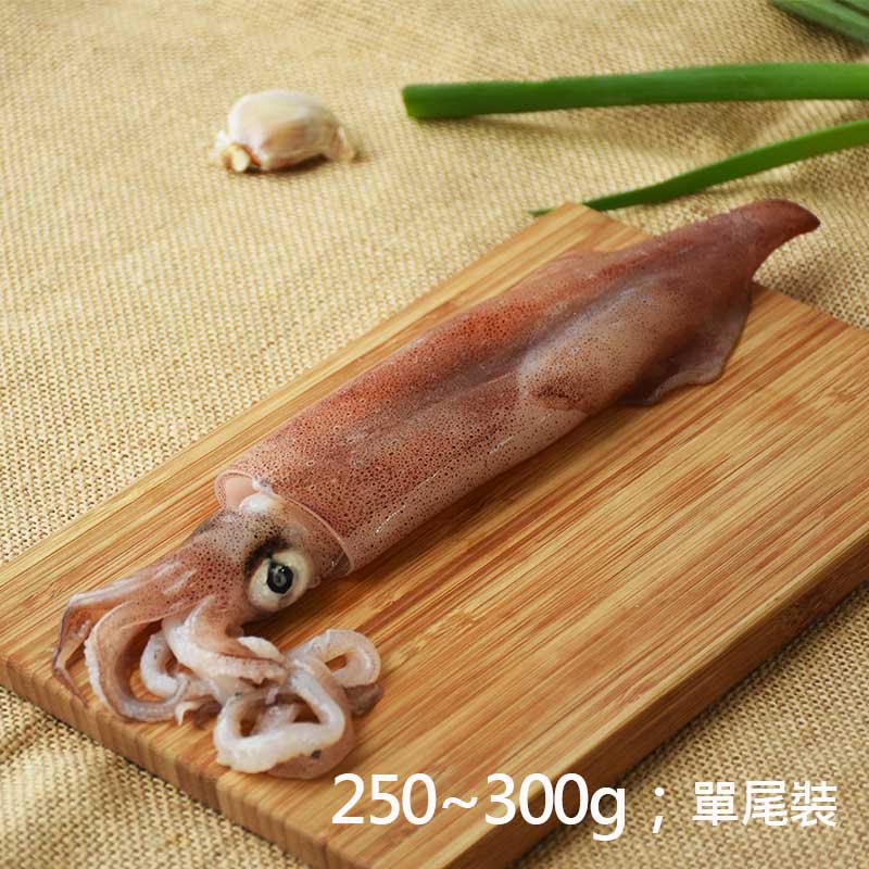 【澎湖珍鮮】澎湖巨無霸透抽(250~300g；單尾裝)