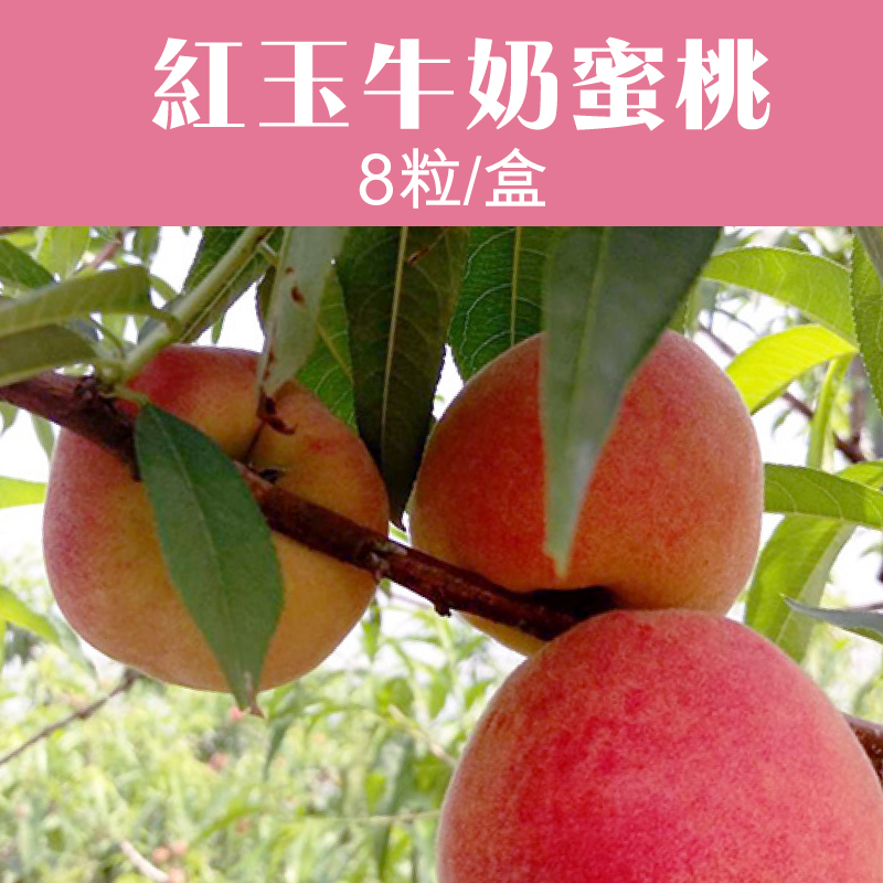 【豐滿果園】紅玉牛奶蜜桃8粒/盒