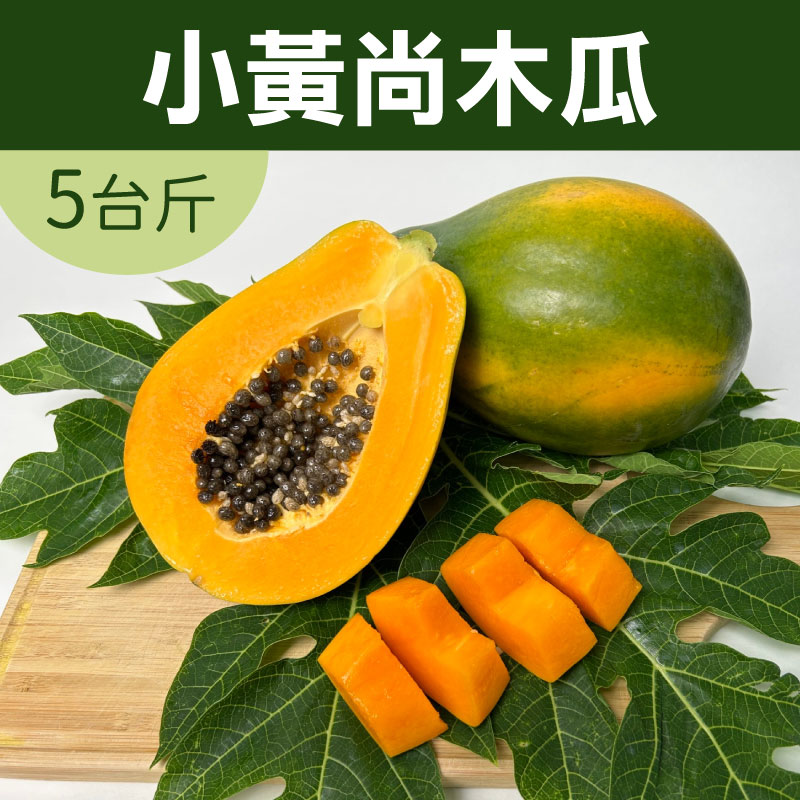 【上青農產】產銷履歷小黃尚木瓜(5台斤)