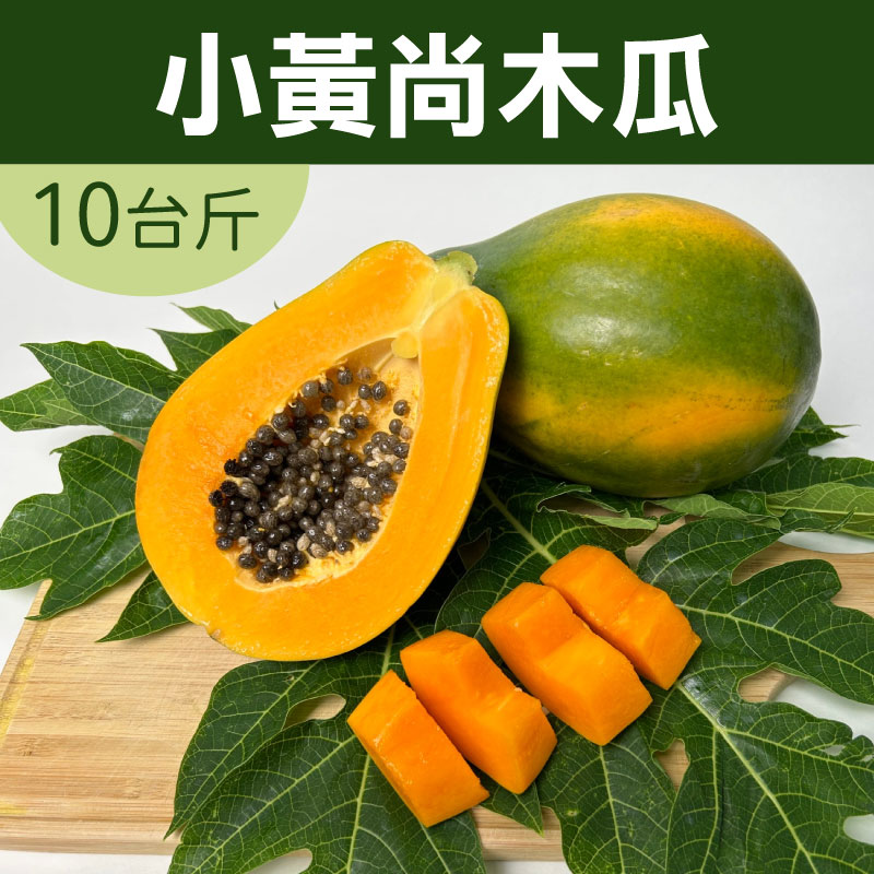 【上青農產】產銷履歷小黃尚木瓜(10台斤)