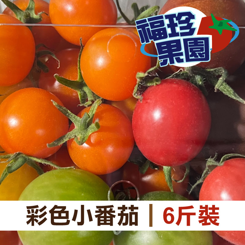 福珍果園 彩色小番茄6斤