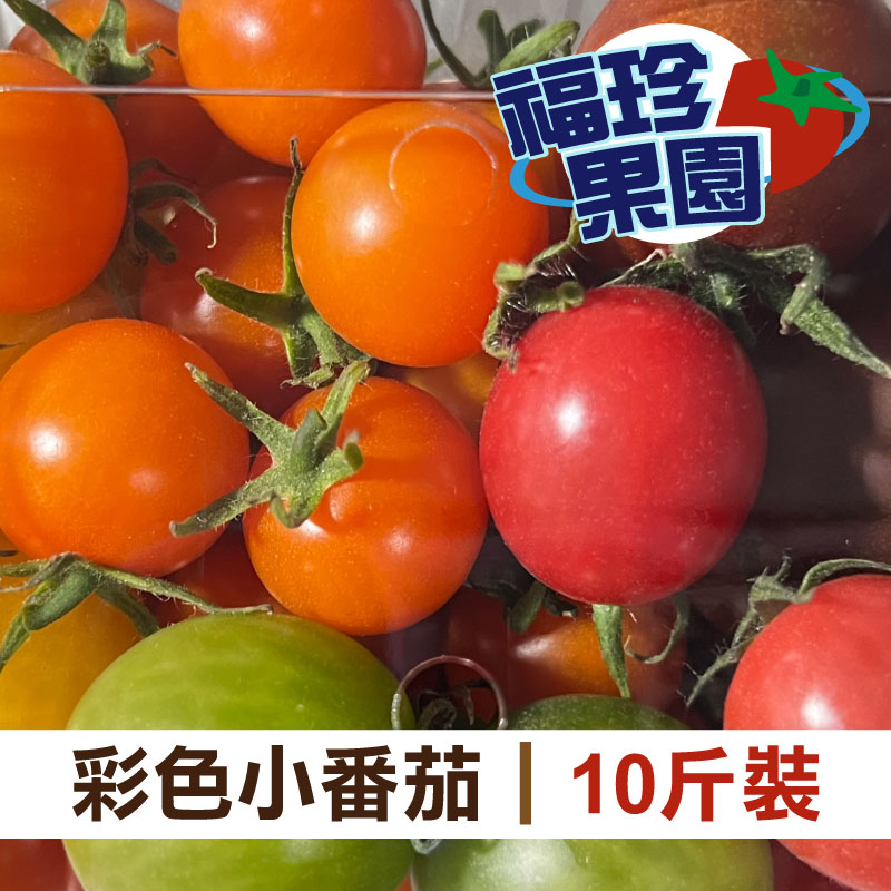 福珍果園 彩色小番茄10斤