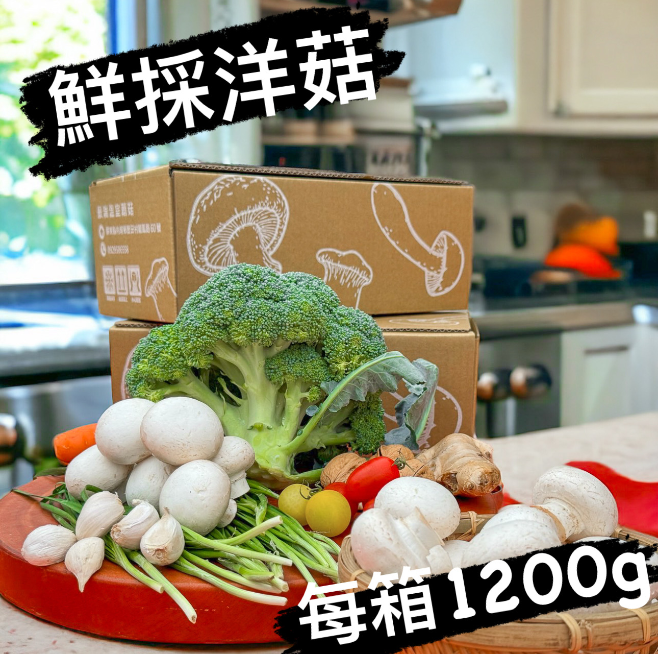 景湍溫室蘑菇 洋菇200g*6盒