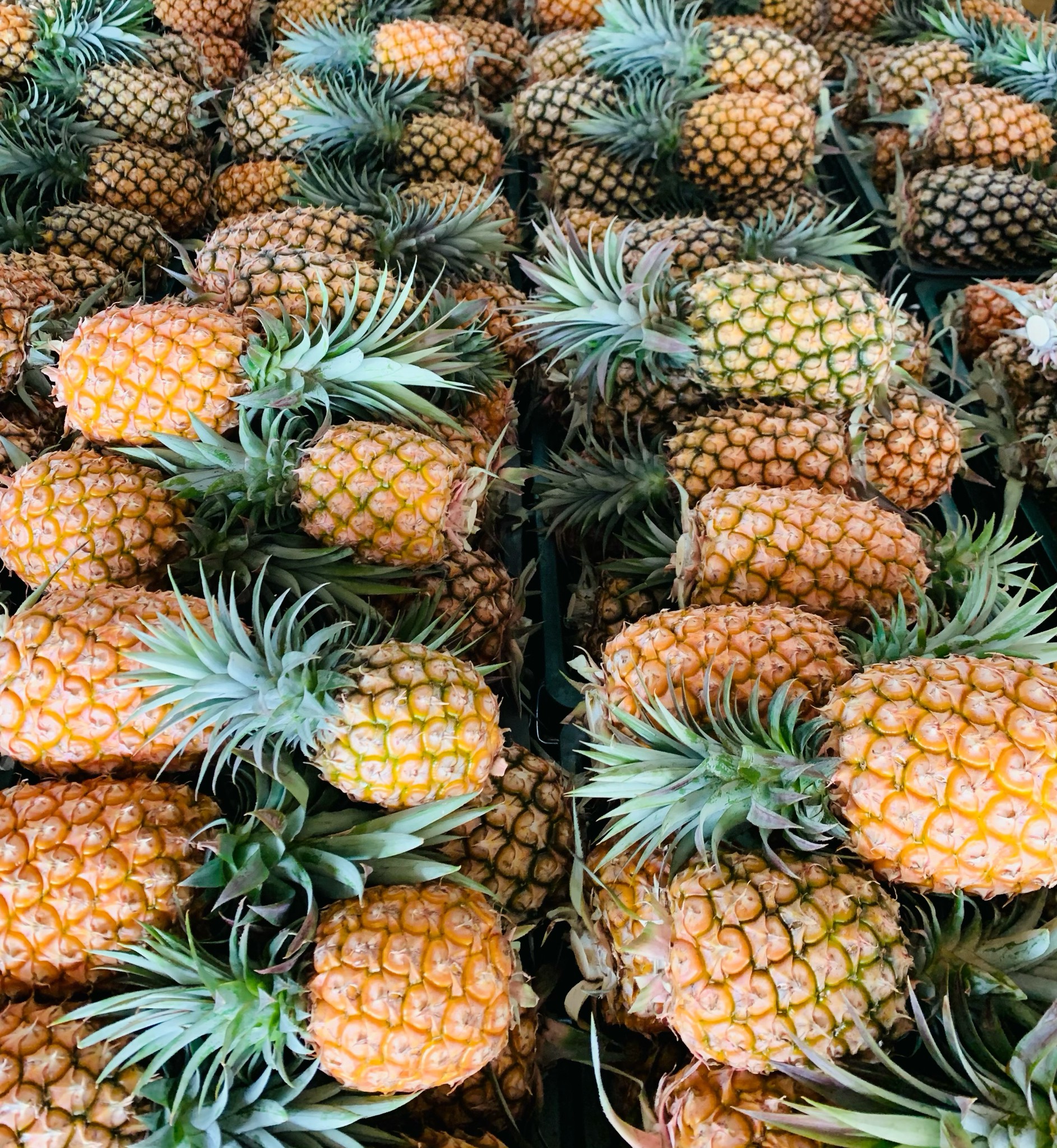 This味鳳梨販賣部金鑽鳳梨4顆裝_This味鳳梨販賣部