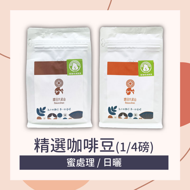 【燦日大武山】兩風味任選 精選咖啡豆1/4磅 (蜜處理/日曬)