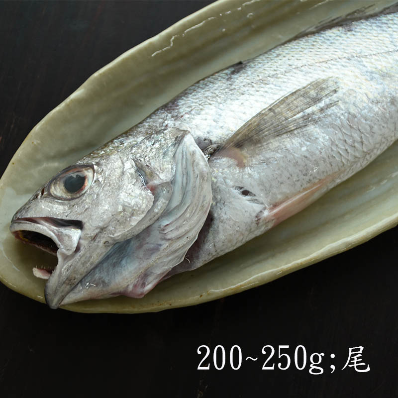 【澎湖珍鮮】澎湖野生船釣黑喉魚(200g/包)