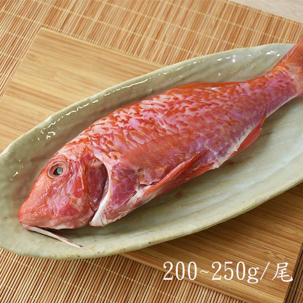 【澎湖珍鮮】澎湖野生船釣秋哥魚(200g/包)
