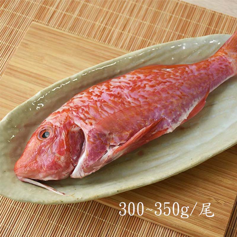 【澎湖珍鮮】澎湖野生船釣秋哥魚(300g/包)