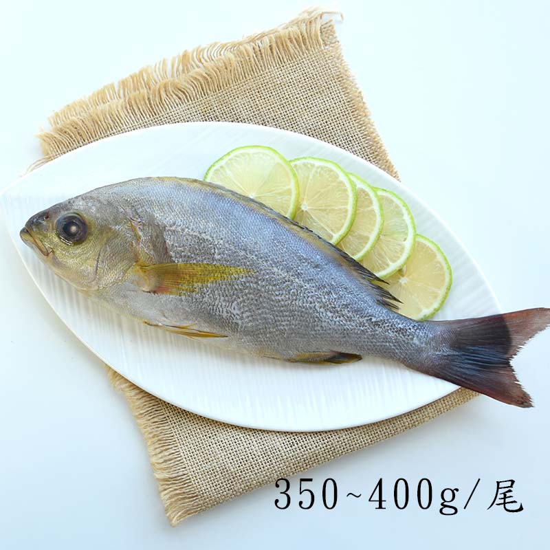 【澎湖珍鮮】澎湖野生船釣黃雞魚(350g/包)