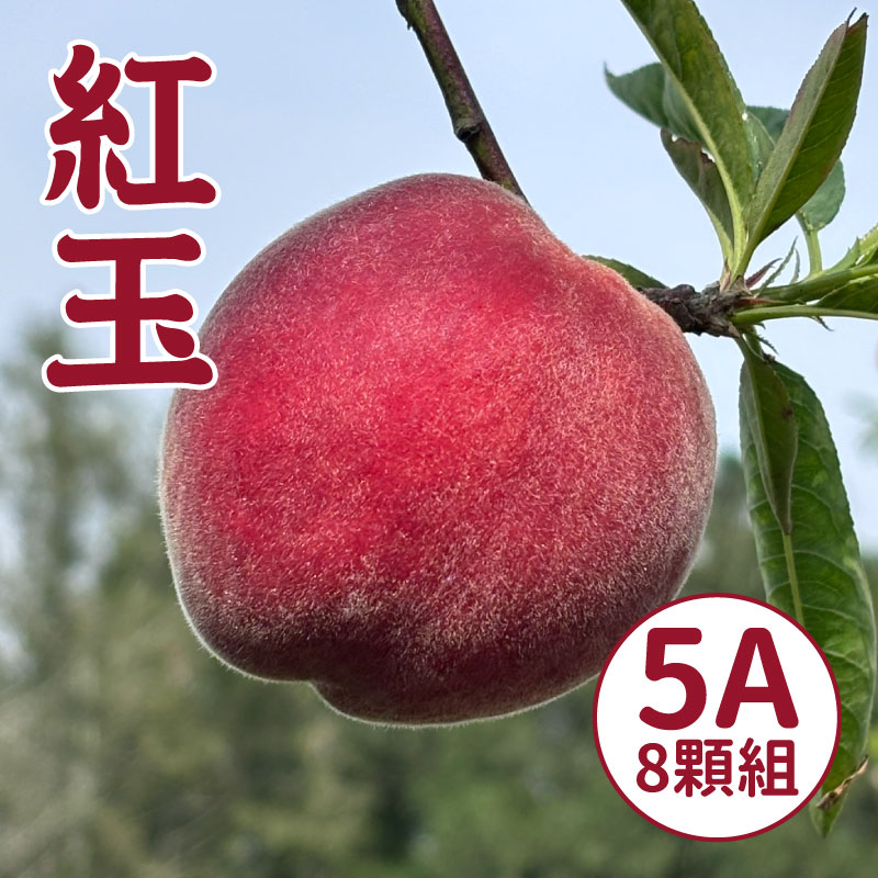 【WU凍桃蔬果園】紅玉水蜜桃5A(8顆)