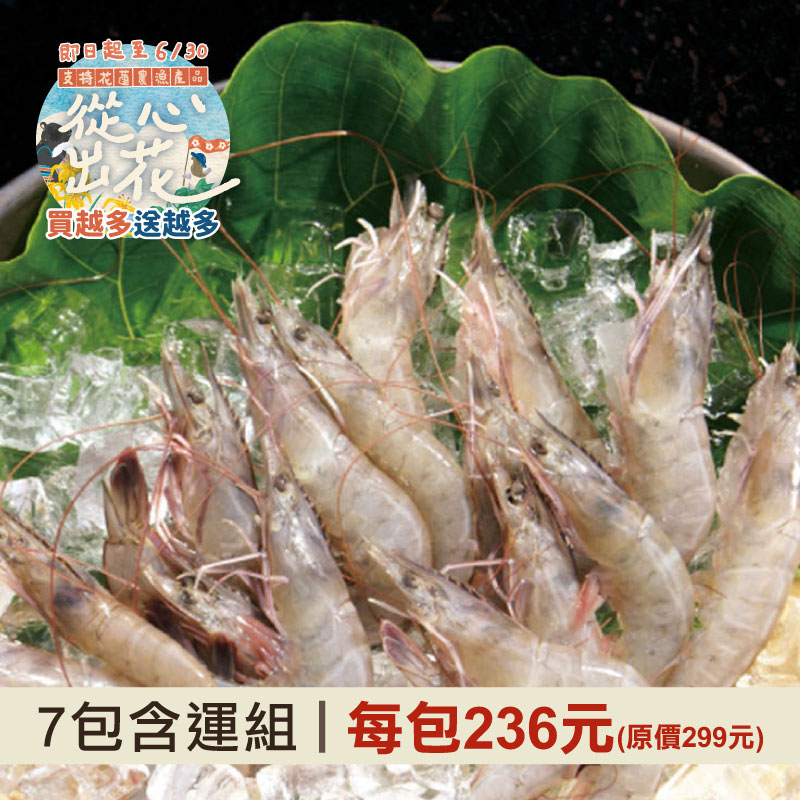 從心出花｜(7包組)【立川】海水飼養甜白蝦(300g/包)