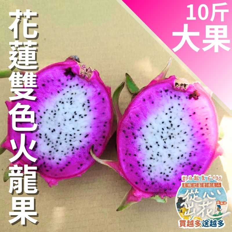 【從心出花】花蓮雙色火龍果(大果)10斤