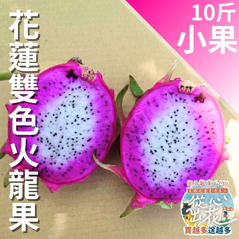 【從心出花】花蓮雙色火龍果(小果)10斤