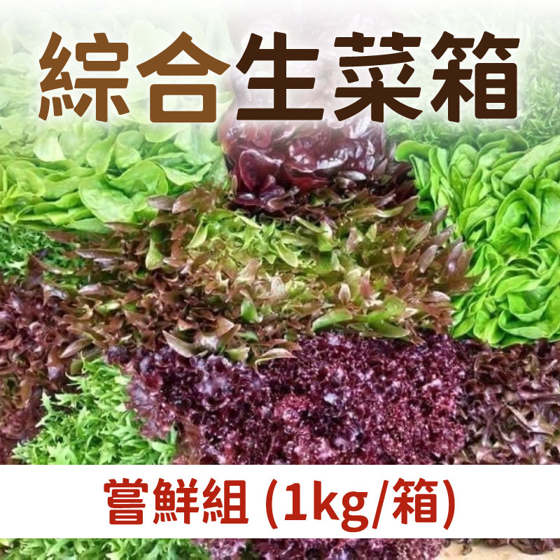 【大地の菜】綜合生菜箱(嘗鮮組)(1kg/箱)~夏季蔬果節