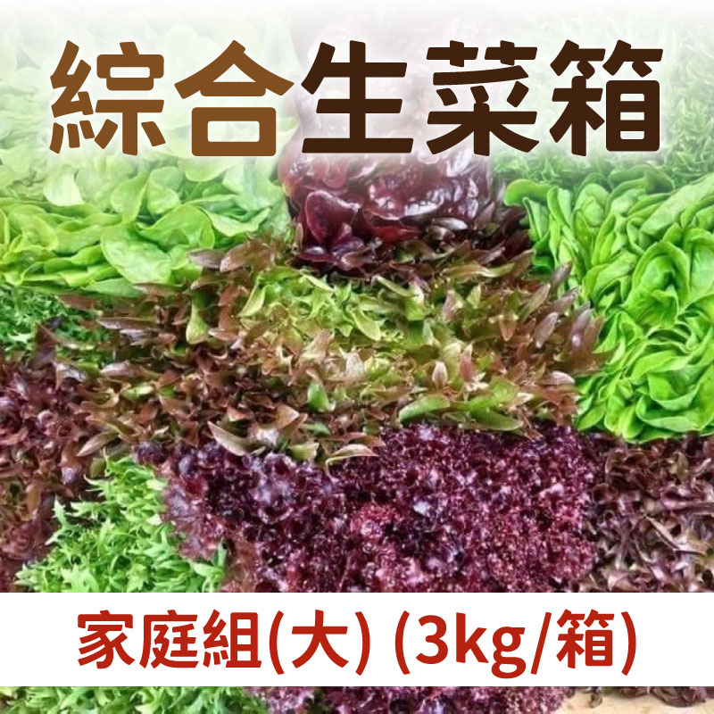 【大地の菜】綜合生菜箱(家庭組)(大)(3kg/箱)~夏季蔬果節