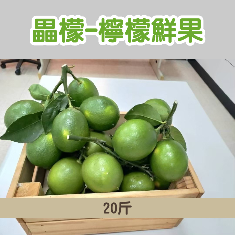 (20斤)【雷檬泰】畾檬-產銷履歷 檸檬鮮果🍋