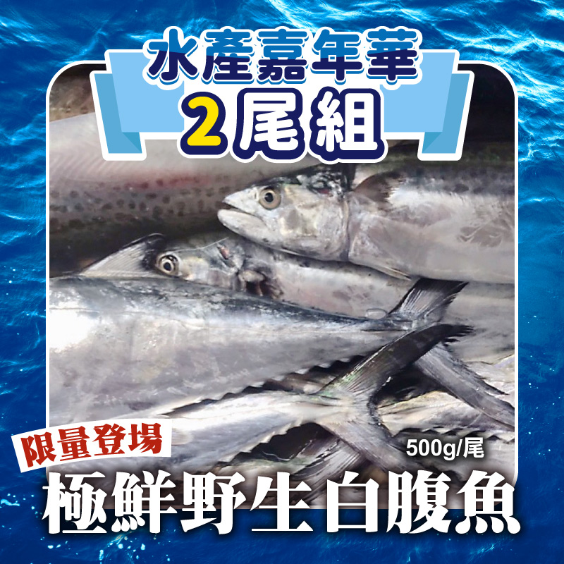 (限量😍2尾組)【海星星】極鮮野生白腹魚500g/尾-水產嘉年華