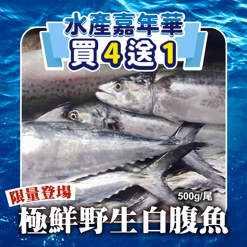 (🔥買4送1)【海星星】極鮮野生白腹魚500g/尾-水產嘉年華