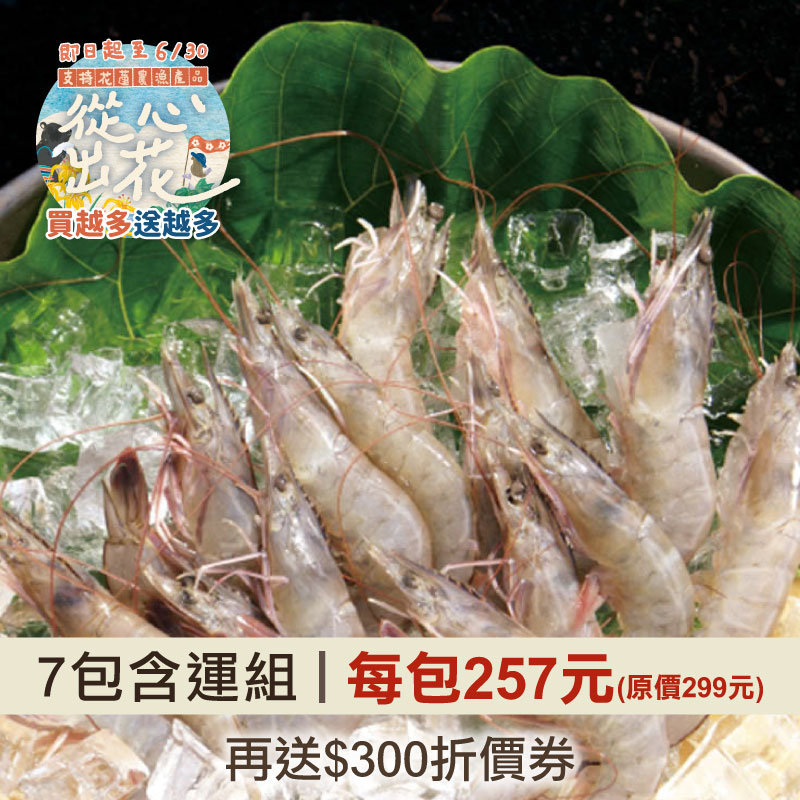 從心出花｜(7包組)【立川】海水飼養甜白蝦(300g/包)