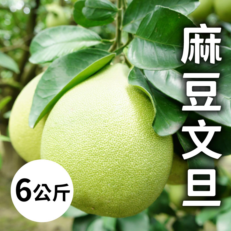 春英文旦園 麻豆文旦6公斤